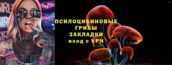 шишки Медвежьегорск
