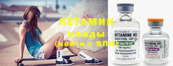 шишки Медвежьегорск