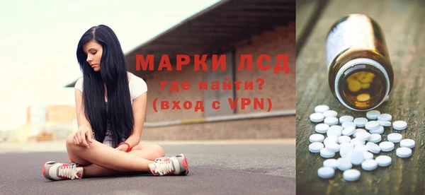 шишки Медвежьегорск