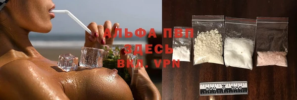шишки Медвежьегорск