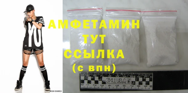 шишки Медвежьегорск