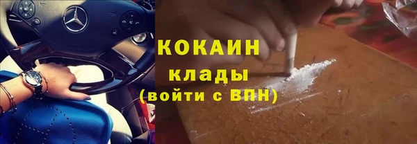 шишки Медвежьегорск