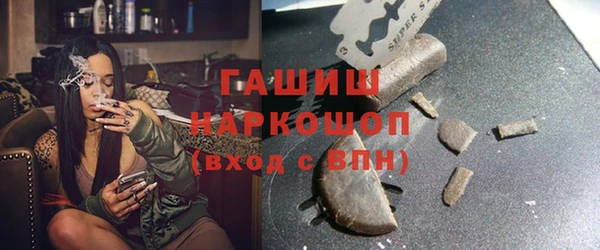 шишки Медвежьегорск