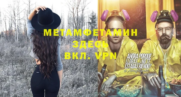 шишки Медвежьегорск