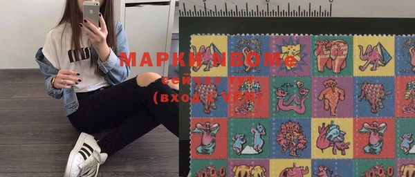 шишки Медвежьегорск