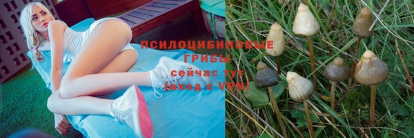 скорость Мегион