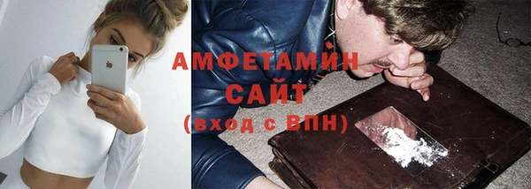 шишки Медвежьегорск