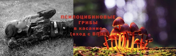 скорость Мегион