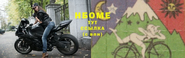 шишки Медвежьегорск
