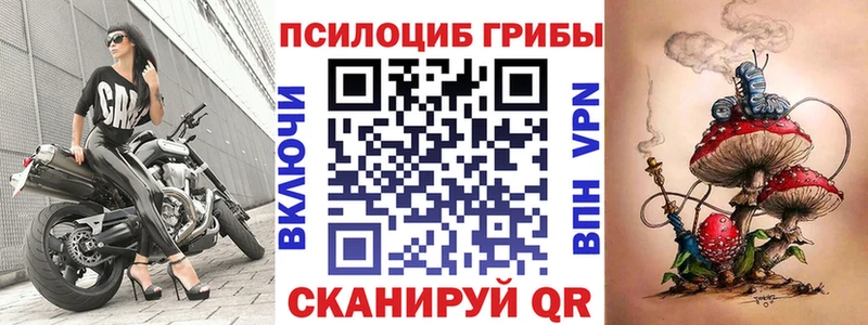 Псилоцибиновые грибы MAGIC MUSHROOMS  цены наркотик  кракен сайт  Чита 